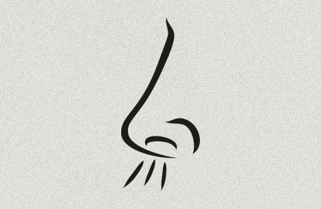 Symbolbild: Nase