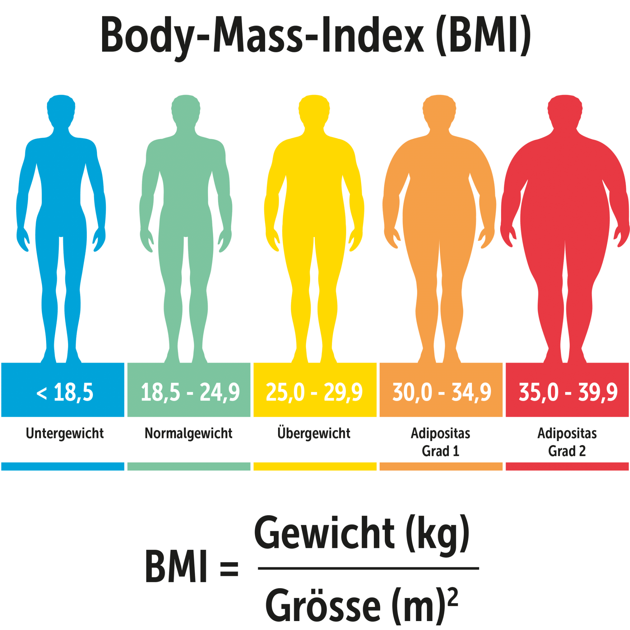 body-mass-index-was-die-formel-kann-und-was-nicht-ksb-blog