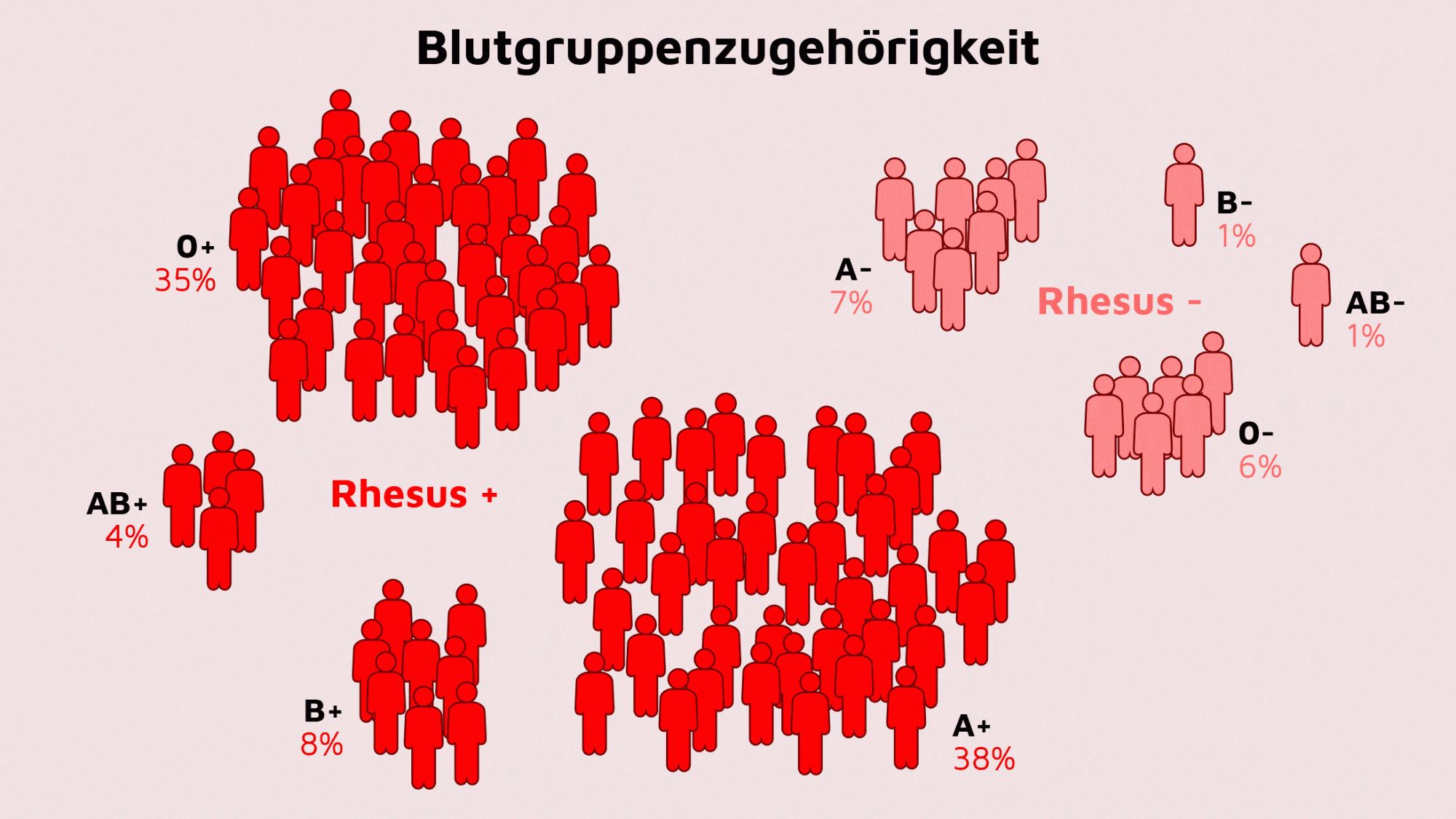 Illustration der Verteilung der Blutgruppen