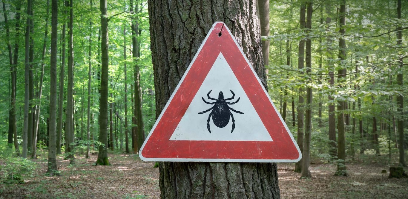 Warnschild: Zecken im Wald