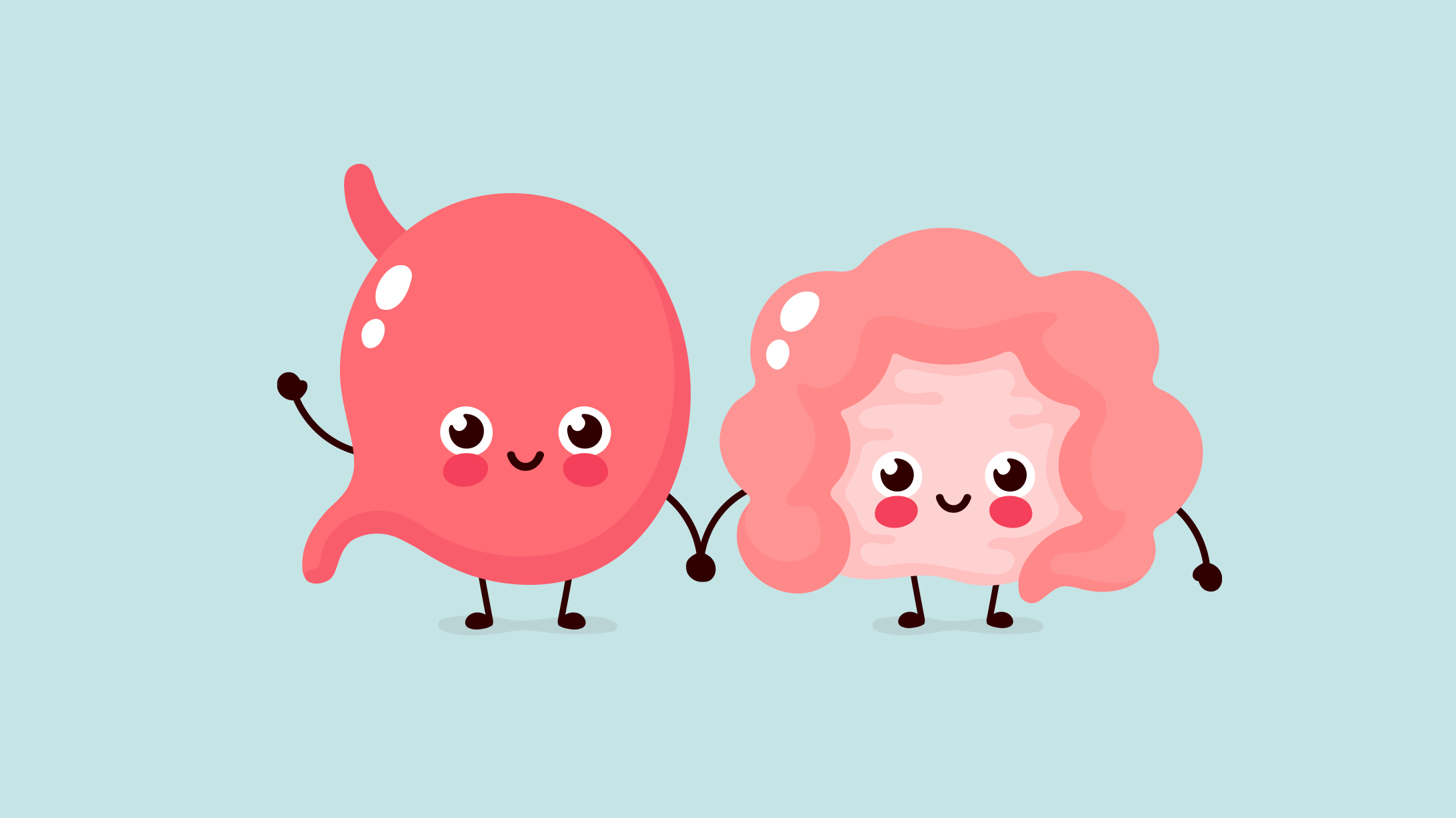 Illustration von Magen und Darm, den Organen für die Verdauung