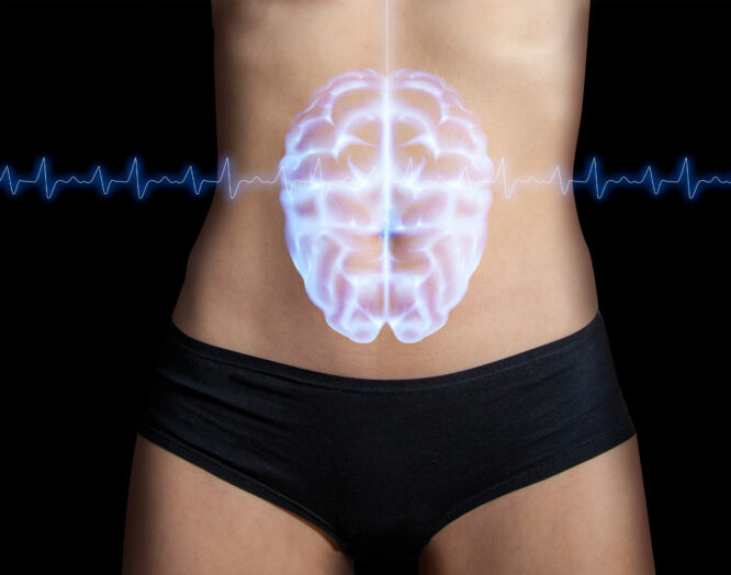 Symbolbild für die Darm-Hirn-Achse: Fotografie eines Bauches, darauf ist ein Hirn illustriert.