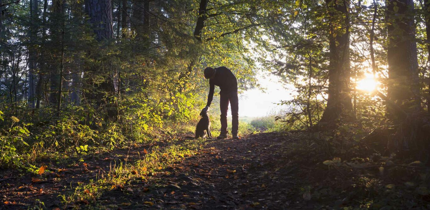 Spaziergänger mit Hund im Wald.