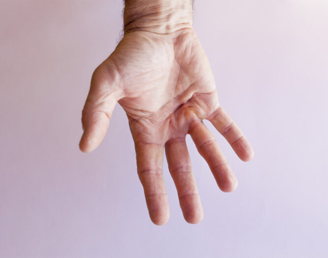 Bild einer männlichen Hand