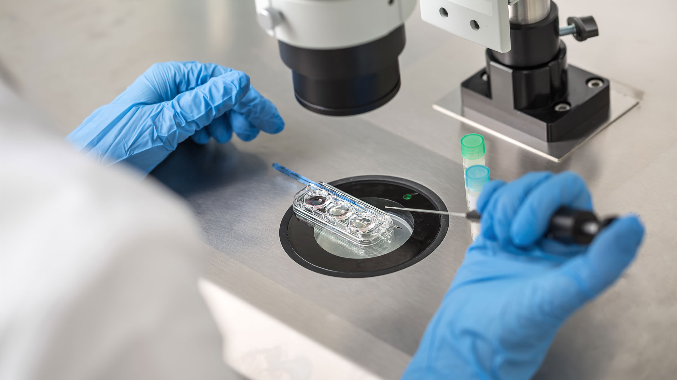 Spermaqualität: Ein Techniker in blauen Handschuhen kontrolliert einen In-vitro-Befruchtungsprozess unter dem Mikroskop